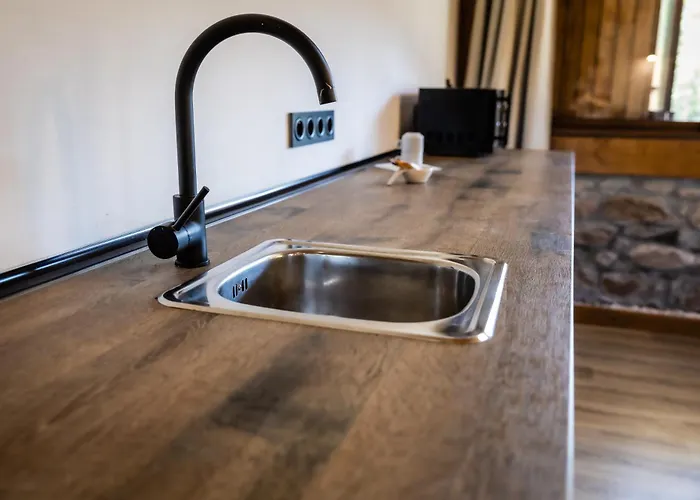 Fagoaga Dorretxea 4* Ergoyen