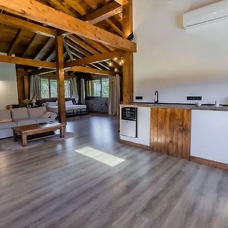 Fagoaga Dorretxea 4* Ergoyen