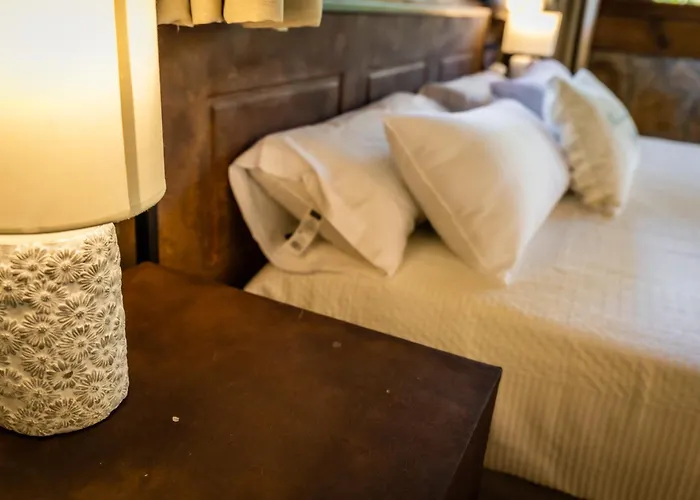 Bed & Breakfast Fagoaga Dorretxea Ergoyen